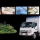 What Types of Goods That Require Chiller Vans in Dubai 80x80