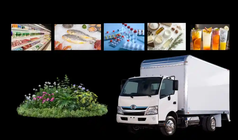 What Types of Goods That Require Chiller Vans in Dubai